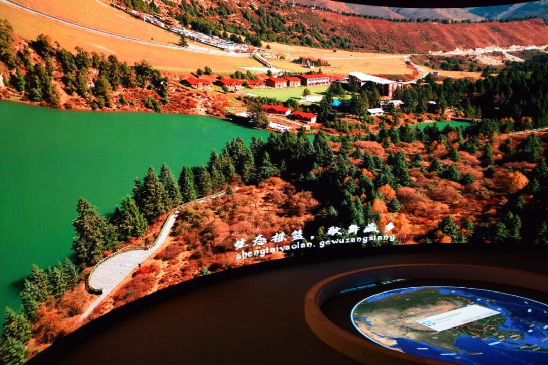 1630551562399243.png 17.png